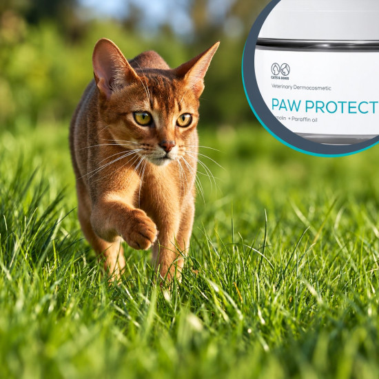 Unguent Vet Expert – Paw Protection pentru Protecția și Regenerarea Pernițelor – 75 ml